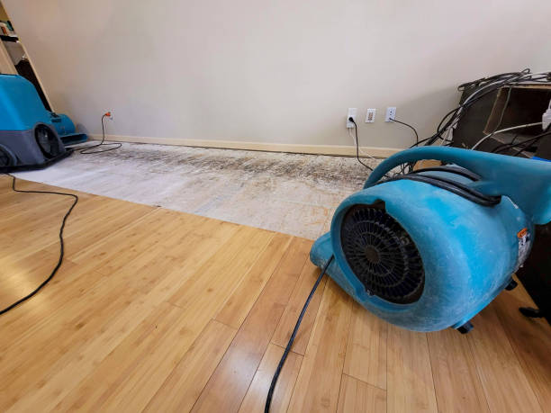 Reliable Emergency Water Removal contractor in Hampton, VA by Hirex Water Damage