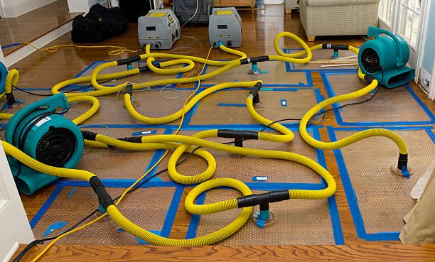 Professional Emergency Water Removal technician working in Hampton, VA