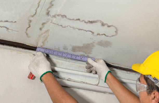 Affordable Water Damage Repair solutions in Hampton, VA